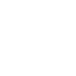 CFDL picto 13